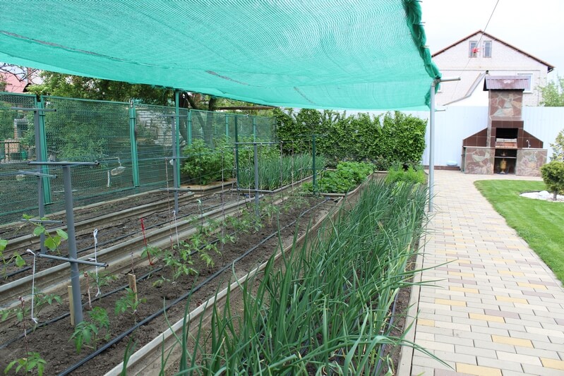 Фото огорода готового дома в Краснодаре 214 м2